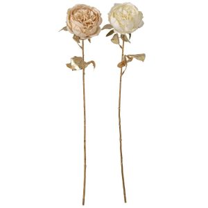 CABBAGE ROSE POLYESTER WHITE/ECRU MEDIUM ASSORTMENT OF 2
