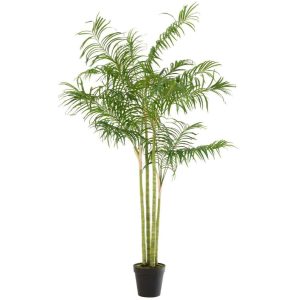 BAMBOO PALM IN POT PLASTIC GREEN/BLACK LARGE