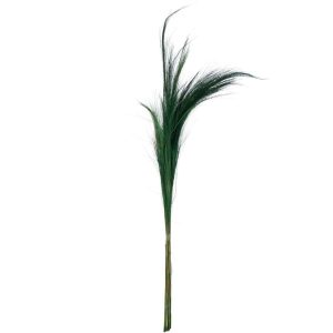 BUNDLE OF 15 COLORED GRASS GREEN