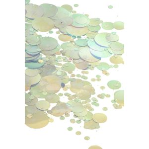 PACK OF SEQUIN HOLOGRAPHIC PET TRANSPARENT