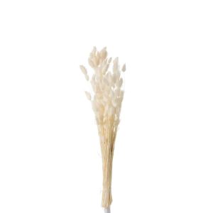 BUNDLE FEATHER BUNNYTAIL DRIED ECRU SMALL