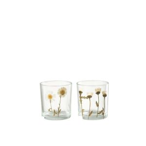 TEALIGHT FLOWER DAISY GLASS MIX ASSORTIMENT OF 2