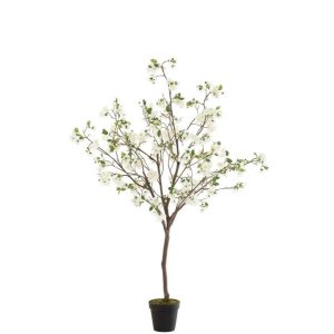 BLOSSOMTREE PLASTIC WHITE/BROWN LARGE