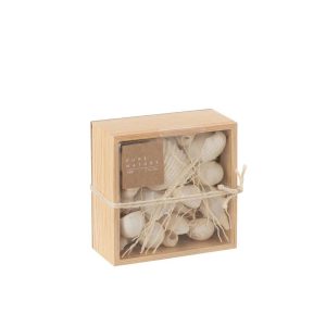 BOX SQUARE SHELLS WHITE