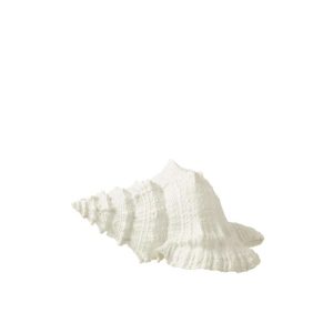 SEASHELL POLYRESIN WHITE