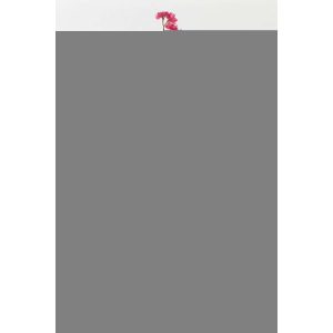 BLOSSOM TEXTILE FUCHSIA